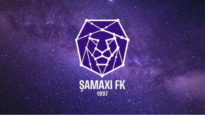 &quot;Şamaxı&quot; FK-nın maliyyə hesabatı